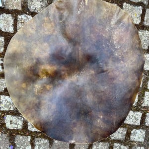 beautiful  golden Horse skin  28 inch C5 medium- thin rown horse raw hide for shaman drum , medicine drum horse rawhide