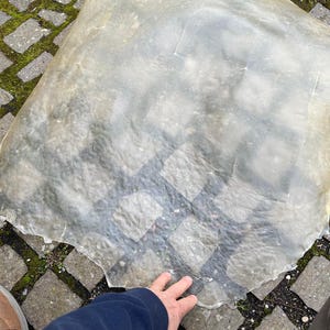 Könnte beinhalten: Eine große, durchsichtige Folie aus klarem Kunststoff, möglicherweise eine Plane oder eine Plane, liegt auf einem grauen Steinpflaster. Die Folie ist leicht zerknittert und hat ein paar kleine Risse an den Rändern.