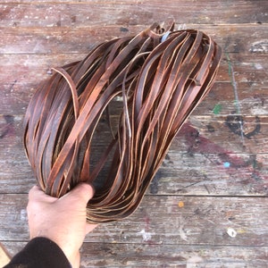 Cordoncillo de piel de búfalo, dureza media, color tabaco Cordoncillo de piel de búfalo para tambores Fabricación. Piel de 0,8 mm / 12 mm para tambor chamán. Piel de tambor de marco. Piel cruda