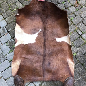 Extra large extra thick  125cm by 82 cm Goat skin with hair for shaman drum or drums  or  frame drums. Raw hide