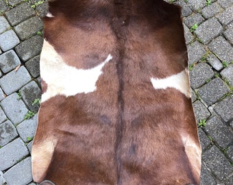 Extra large extra thick  125cm by 82 cm Goat skin with hair for shaman drum or drums  or  frame drums. Raw hide