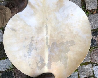 white cow skin 30 inches   78 cm in diameter.