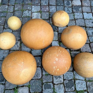 May include: A collection of eight spherical objects in varying sizes and shades of tan and light brown. The objects are arranged on a cobblestone surface, with the largest ones in the center and smaller ones surrounding them.