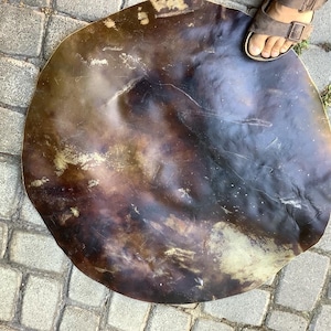 fine  Horse skin  30inch fh30 thin    Golden brown horse raw hide for shaman drum , medicine drum horse rawhide