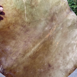 Horse skin  34inch C3  horse raw hide for shaman drum , medicine drum horse rawhide