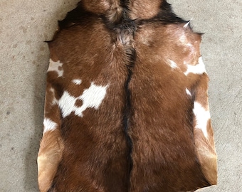 Full   Goat skin with hair for shaman drum or drums  or  frame drums. Raw hide