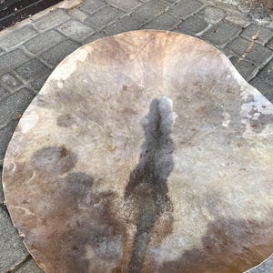 Pode incluir: Uma grande peça de couro curtido de forma irregular, exibindo um padrão manchado de marrons, beges e cinzas. O couro tem uma textura natural e orgânica com variações de cor e tom. As bordas são irregulares.