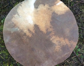 extra Big 37inch super thick Buffalo skin for shaman drum.  big medicine drum skin. Raw hide