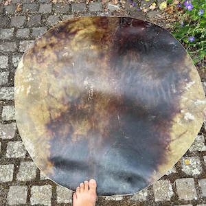 beautiful golden Horse skin  36 inch C1 medium- thick Golden brown horse raw hide for shaman drum , medicine drum horse rawhide