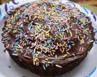 May include: A round chocolate cake with chocolate frosting and colorful sprinkles. The cake sits on a white paper plate with a blue and white patterned edge. The cake is a dessert.