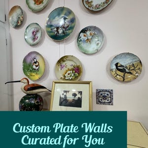 May include: A selection of decorative plates featuring floral, bird, and landscape motifs, arranged on a pink wall. The plates vary in size and shape, forming a distinctive wall arrangement. A framed picture and a decorative bird ornament are also visible.