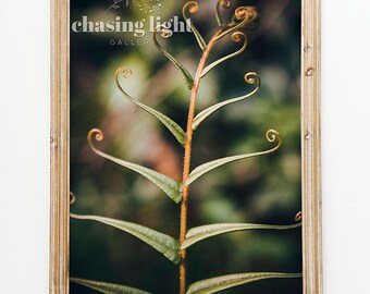 2020 Nature No 004, Nature Wall Art, Floral Wall Art, Home Décor, Botanical Art, Moody Nature, Fern Photography, Nature Photography