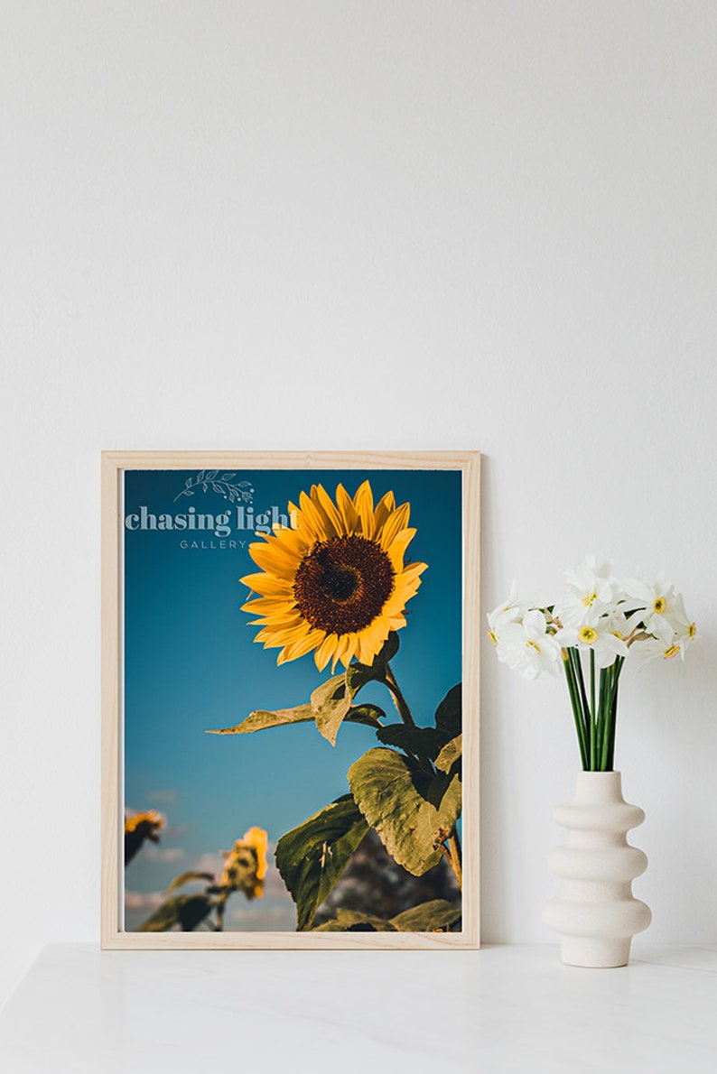 2021 Sunflower No 002, Floral Wall Art, Home Décor, Botanical Art, Moody Florals, Floral Photography, Flower Photography, Sunflowers image 2