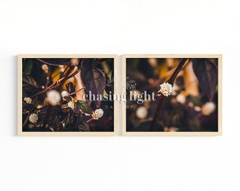 2020 Nature No 006 Diptych, Nature Wall Art, Floral Wall Art, Home Décor, Botanical Art, Moody Nature, Fern Photography, Nature Photography