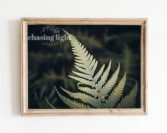 2020 Nature No 001, Nature Wall Art, Floral Wall Art, Home Décor, Botanical Art, Moody Nature, Fern Photography, Nature Photography