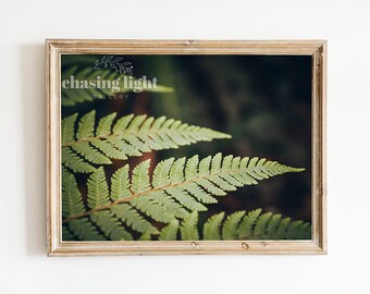 2020 Nature No 002, Nature Wall Art, Floral Wall Art, Home Décor, Botanical Art, Moody Nature, Fern Photography, Nature Photography