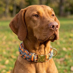 Handmade Crochet PetCollar | Personalized Colors