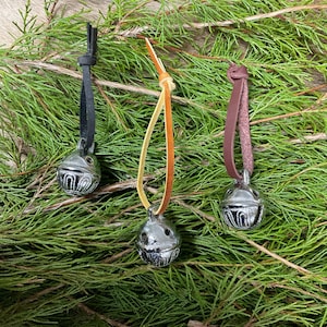 Polar Express Santa Sleigh Bell