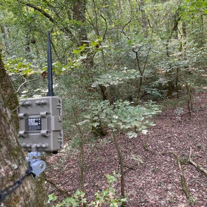 May include: A tan Bushnell trail camera mounted to a tree trunk with a black antenna extending upward. The device features a rectangular housing with a central label containing technical text and regulatory symbols, secured by a gray mounting bracket.