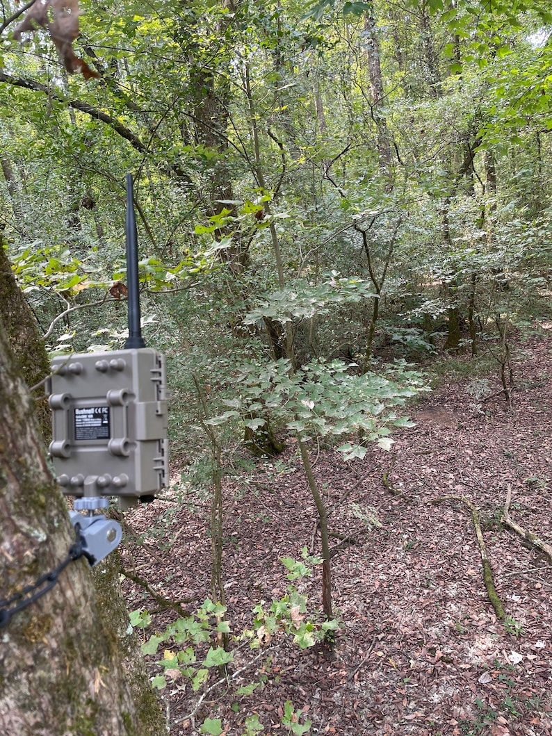May include: A tan Bushnell trail camera mounted to a tree trunk with a black antenna extending upward. The device features a rectangular housing with a central label containing technical text and regulatory symbols, secured by a gray mounting bracket.