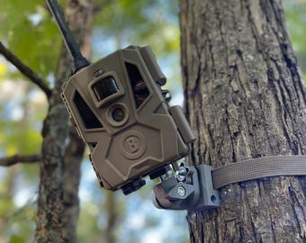 Quick Check 3-Way: Adjustable Trail Camera Mount, Public Land Legal