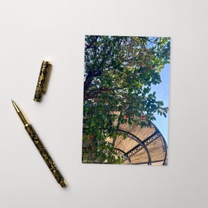 Cartolina di un albero di arance illuminato dal sole – Fotografia di un agrumeto greco, estetica del giardino mediterraneo, arte murale da viaggio per una vita consapevole