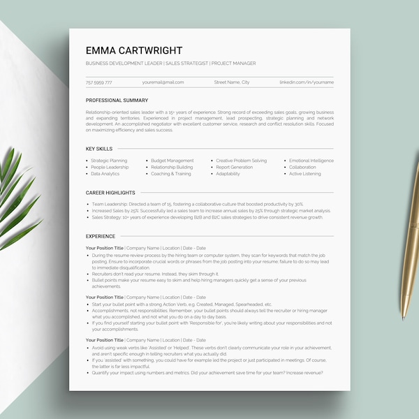 Canva Ats Functional Resume Template Etsy