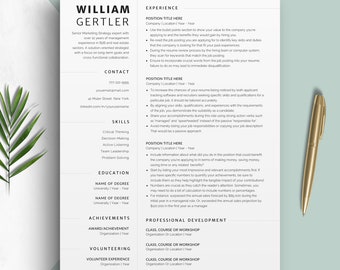 Creative Resume Template - CV with Cover Letter for Job Applications Professional Canva Resume Aesthetic Fancy Basic Easy to use Layout