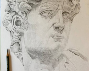 Disegno del ritratto di David a pensil