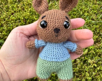 Ready to Ship Amigurumi Bunny in Blue Sweater and Brown Pants cute Kawaii rabbit toy plush bunnny