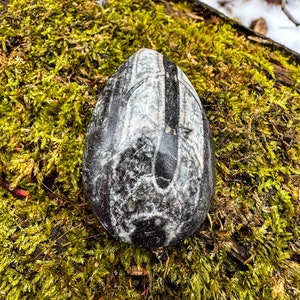 Orthoceras Fossil Egg #1