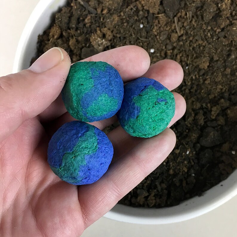 25 Wildflower Earth Day Seed Bombs Eco Friendly Classroom Etsy