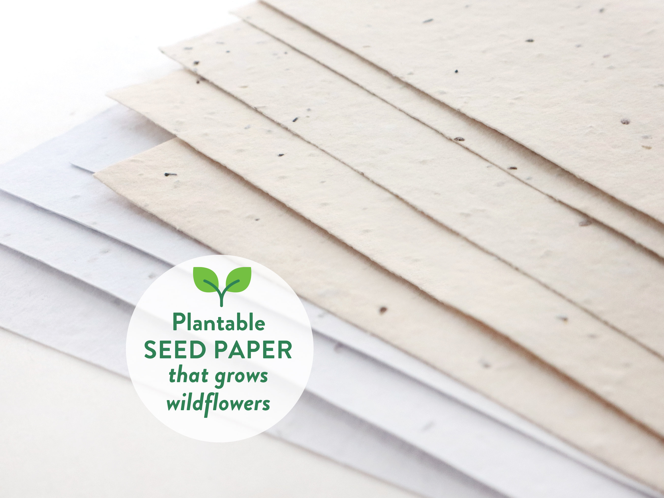 Plantable Paper Printing Guidelines - Botanical PaperWorks