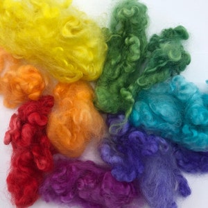 Hand Dyed English Leicester Fleece -  Rainbow Fleece - Rainbow - Dolls Hair - Curly Fleece - Steiner - Spinning - Felting Embellishment