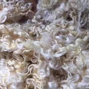 Undyed English Leicester Fleece for dolls hair, felting or other craft activities