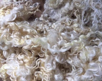 Undyed English Leicester Fleece for dolls hair, felting or other craft activities