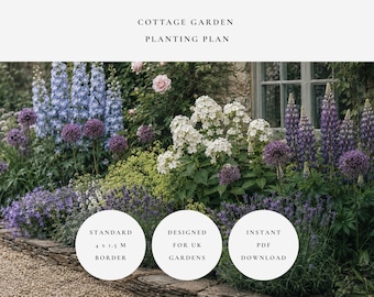 Cottage Garden Planting Plan | Standard UK Border | Instant PDF Download