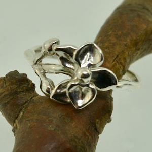 Orchid Stem Series