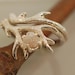 see more listings in the Antler section