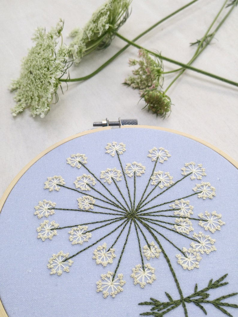 QUEEN ANNES LACE pdf embroidery pattern, embroidery hoop art, wild carrot blossom, lacy white flower cluster, dandelion, summer wildflower image 3