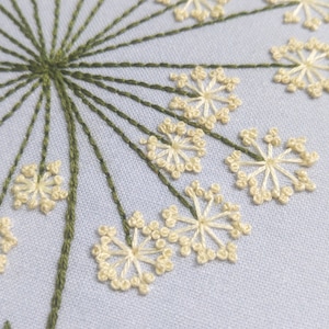 QUEEN ANNES LACE pdf embroidery pattern, embroidery hoop art, wild carrot blossom, lacy white flower cluster, dandelion, summer wildflower image 4