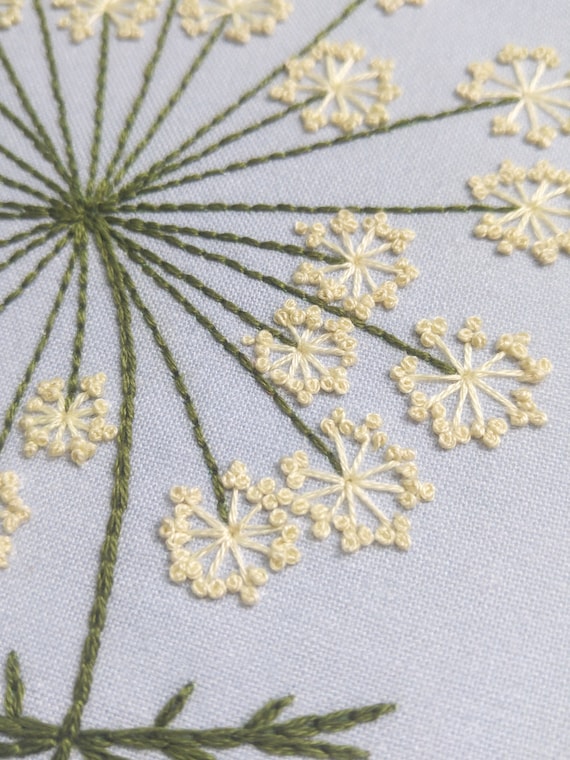 QUEEN ANNES LACE Pdf Embroidery Pattern, Embroidery Hoop Art, Wild Carrot  Blossom, Lacy White Flower Cluster, Dandelion, Summer Wildflower 