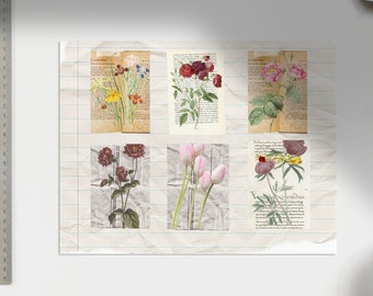 Vintage botanical trading cards ATC Nature trading cards art journaling cards instant download flower journal notes and tags ephemera