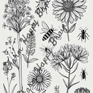 Bocetos botánicos y dibujos antiguos de flores silvestres, hierbas e insectos, papeles para hacer collages y tarjetas de notas.