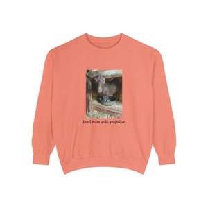 Bridget in a Bucket Nigerian Dwarf goat adorable goat original photograph don&#39;t mess with perfection Unisex Garment-Dyed Sweatshirt
