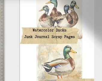 Vintage Duck Watercolor Scrapbook Pages, Junk Journal Ephemera (Digital Download)