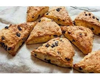 NY Gourmet Irish style Chocolate Chip Scones 1-lbs