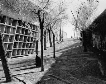 Igualada - Analogic photography of a famous spanish cemetery