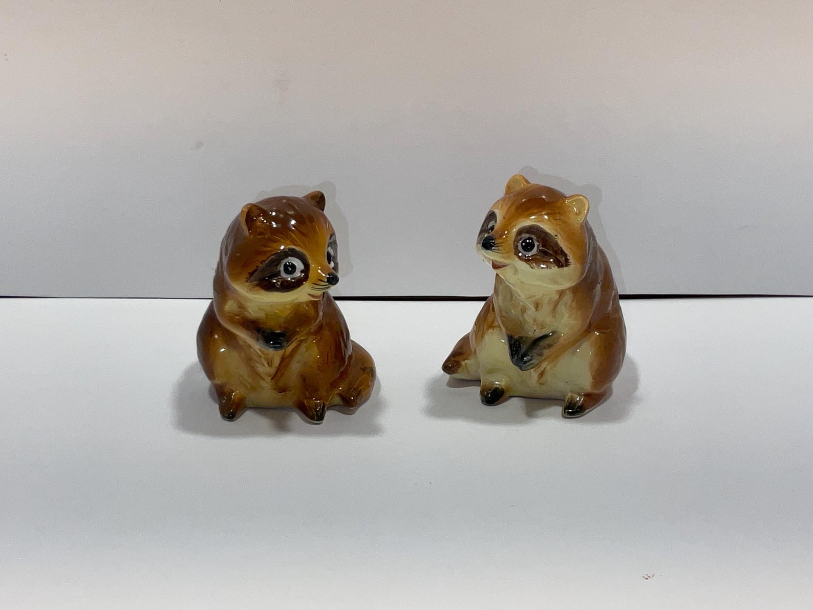 Vintage Raccoon Salt and Pepper Shakers