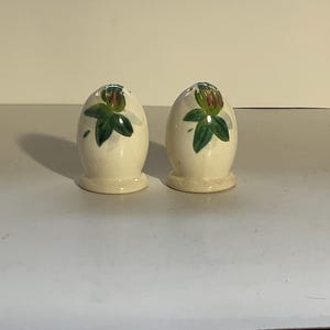 May include: Two egg-shaped salt and pepper shakers. The shakers are off-white with a green and red floral design on the top. The shakers have a small base and are sitting on a light-colored surface.